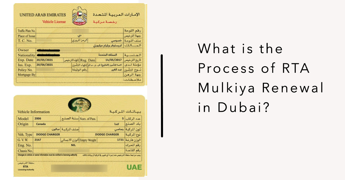 Professional assistance for UAE vehicle registration renewal and ownership transfer services